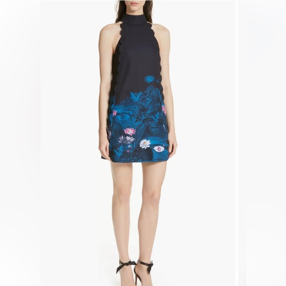 Ted Baker Eurela Wonderland Scalloped Aline Dress